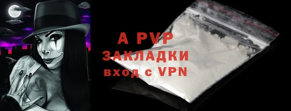прущие крисы Бородино