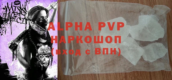 прущие крисы Бородино