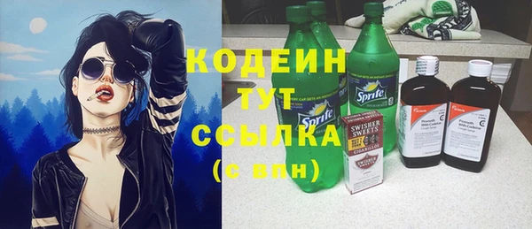 прущие крисы Бородино