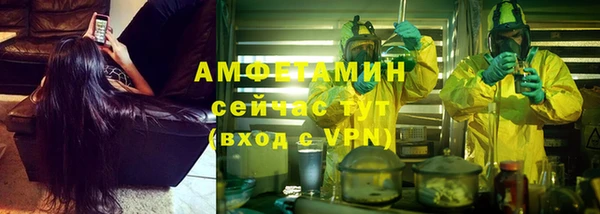 прущие крисы Бородино