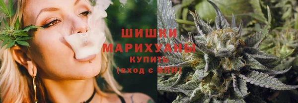 прущие крисы Бородино