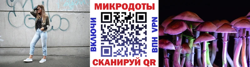 Галлюциногенные грибы Psilocybe  Купить закладки  Барабинск 