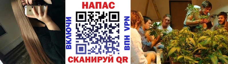 Бошки Шишки план  Купить закладки  Барабинск 